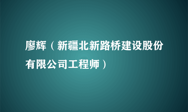 廖辉（新疆北新路桥建设股份有限公司工程师）