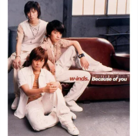 Because of You（w-inds. 演唱歌曲）