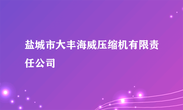 盐城市大丰海威压缩机有限责任公司