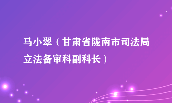 马小翠（甘肃省陇南市司法局立法备审科副科长）