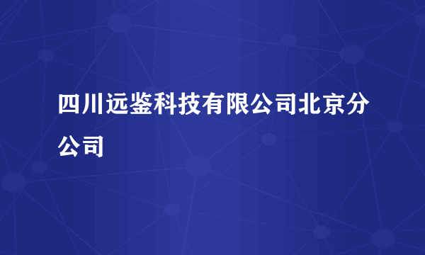 四川远鉴科技有限公司北京分公司