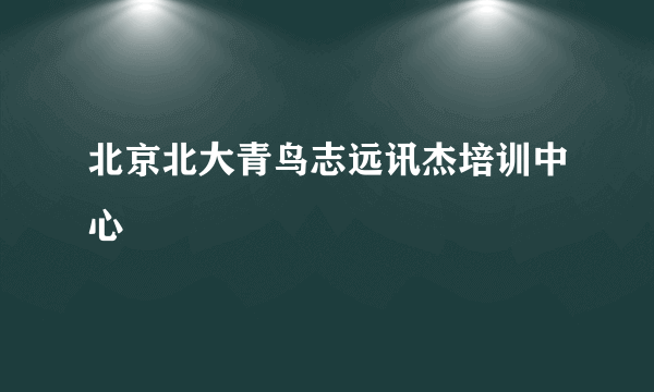 北京北大青鸟志远讯杰培训中心