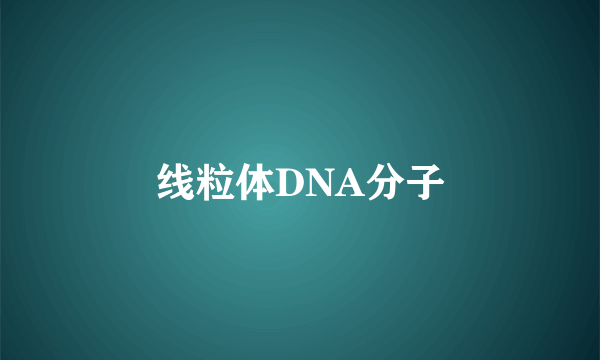 线粒体DNA分子