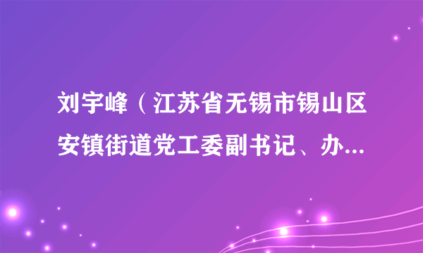 刘宇峰（江苏省无锡市锡山区安镇街道党工委副书记、办事处主任）