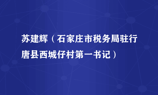 苏建辉（石家庄市税务局驻行唐县西城仔村第一书记）