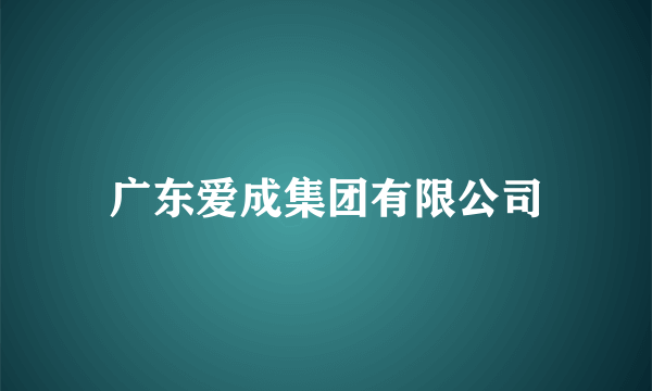 广东爱成集团有限公司