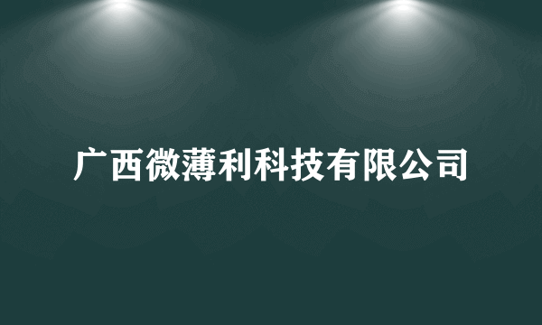 广西微薄利科技有限公司