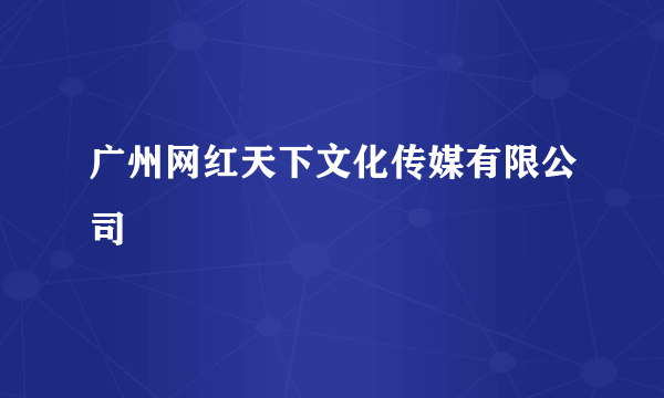 广州网红天下文化传媒有限公司