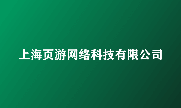 上海页游网络科技有限公司