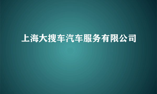 上海大搜车汽车服务有限公司