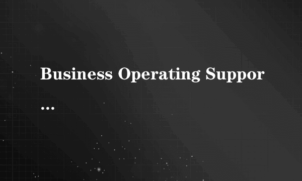 Business Operating Support System(BOSS)