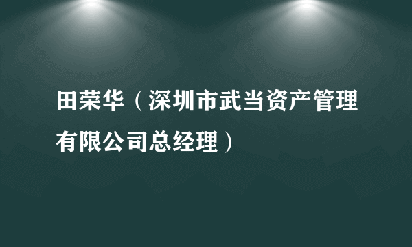 田荣华（深圳市武当资产管理有限公司总经理）