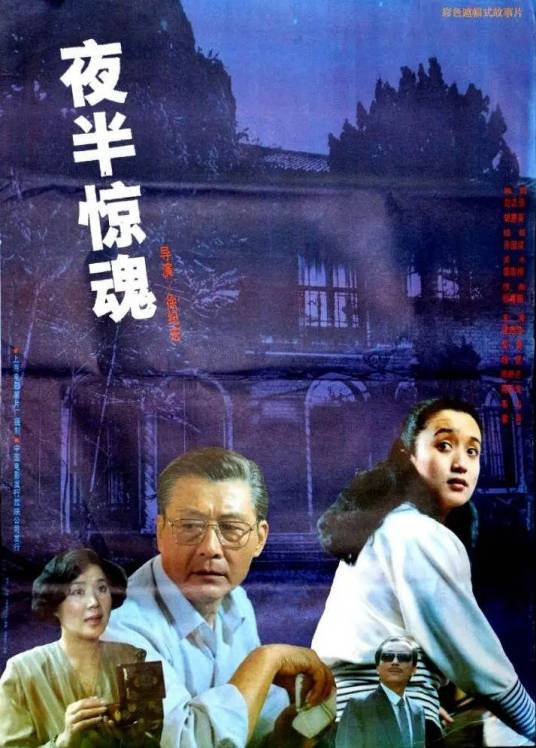 夜半惊魂（1991年徐纪宏执导的剧情电影）