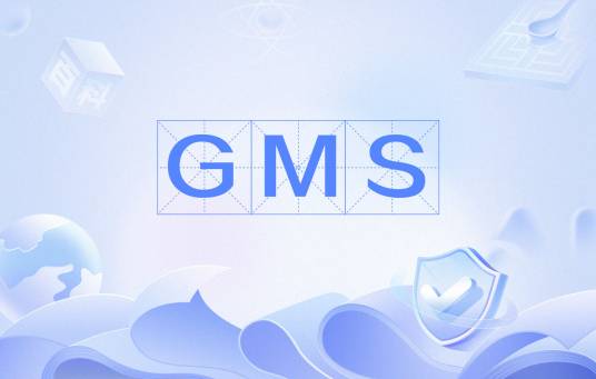 GMS（走向市场服务）