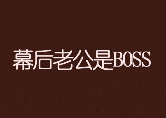 幕后老公是BOSS