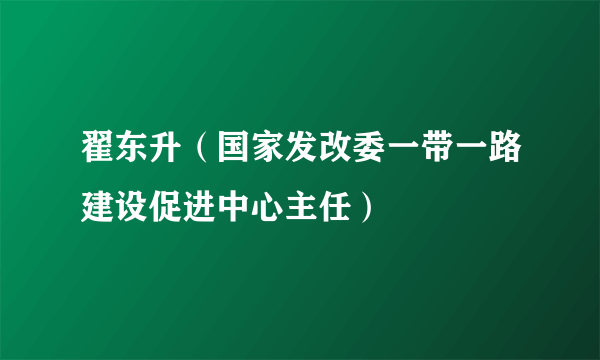 翟东升（国家发改委一带一路建设促进中心主任）