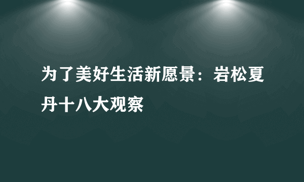 为了美好生活新愿景：岩松夏丹十八大观察