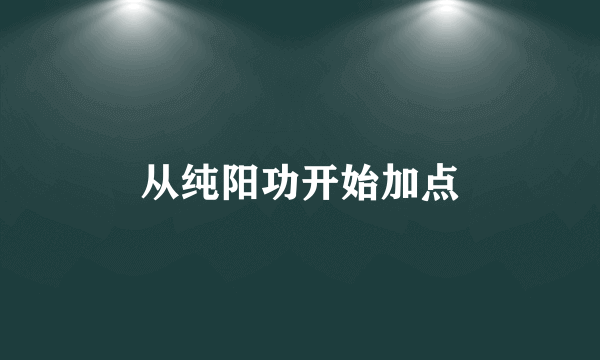 从纯阳功开始加点