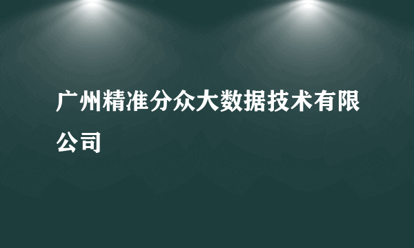 广州精准分众大数据技术有限公司