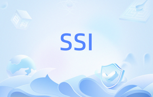 SSI（网络技术）