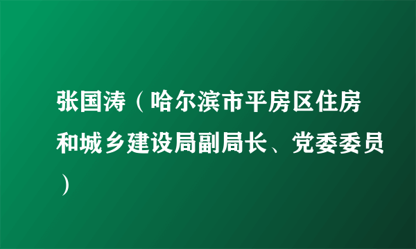 张国涛（哈尔滨市平房区住房和城乡建设局副局长、党委委员）