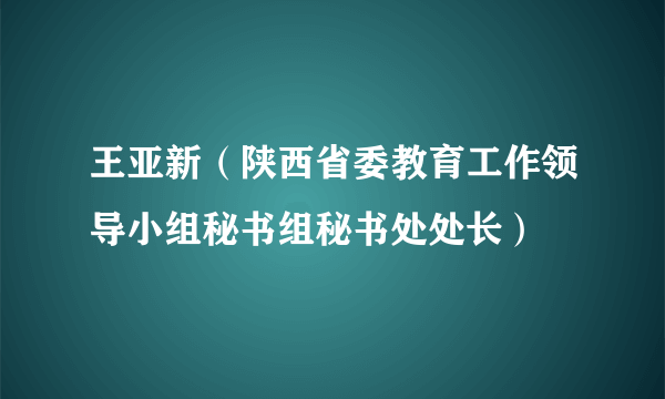 王亚新（陕西省委教育工作领导小组秘书组秘书处处长）