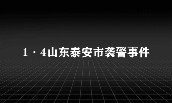 1·4山东泰安市袭警事件