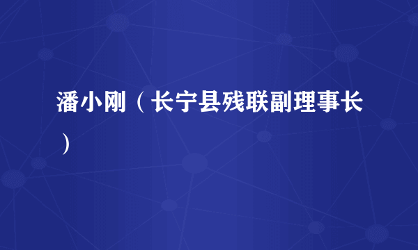 潘小刚（长宁县残联副理事长）