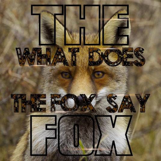 What Does the Fox Say