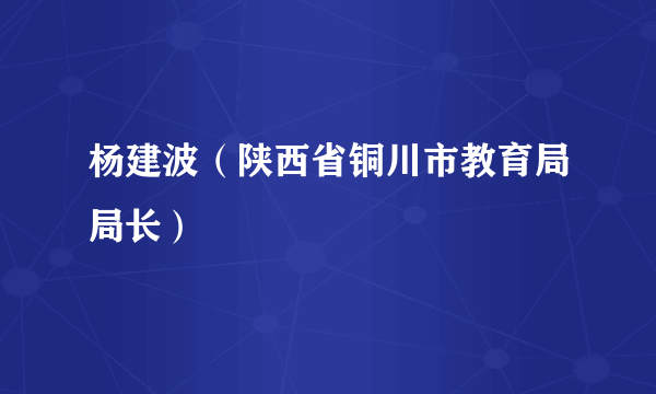 杨建波（陕西省铜川市教育局局长）