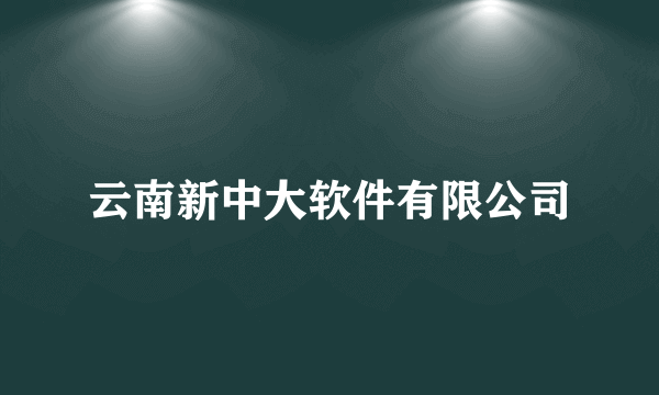 云南新中大软件有限公司