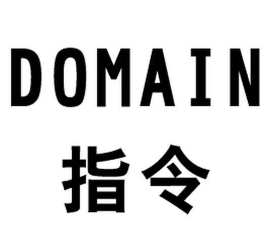 Domain（高级搜索指令）