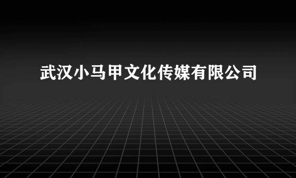 武汉小马甲文化传媒有限公司