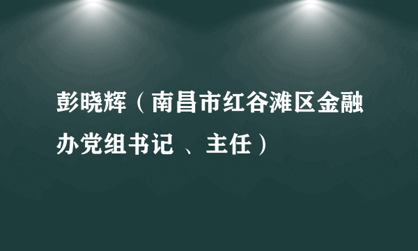 彭晓辉（南昌市红谷滩区金融办党组书记 、主任）