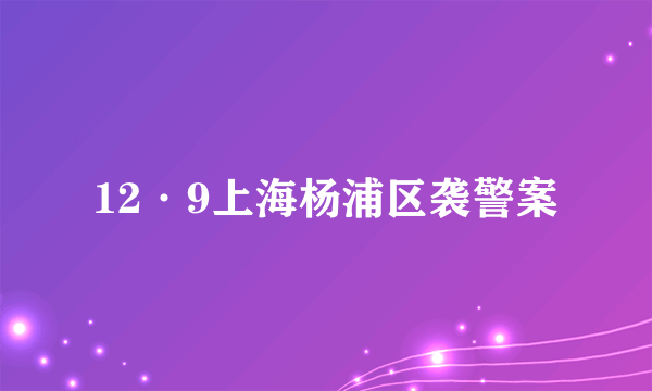 12·9上海杨浦区袭警案