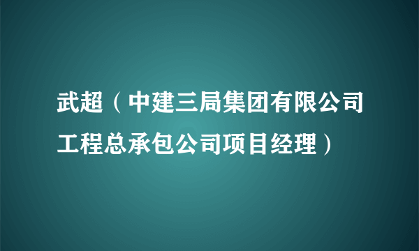 武超（中建三局集团有限公司工程总承包公司项目经理）