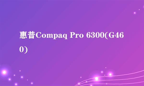 惠普Compaq Pro 6300(G460)