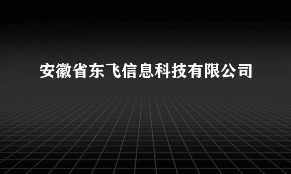 安徽省东飞信息科技有限公司