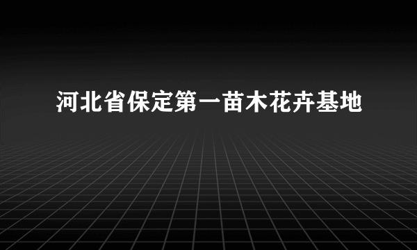 河北省保定第一苗木花卉基地