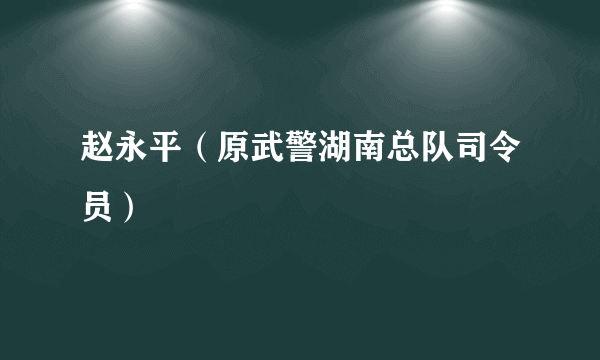 赵永平（原武警湖南总队司令员）