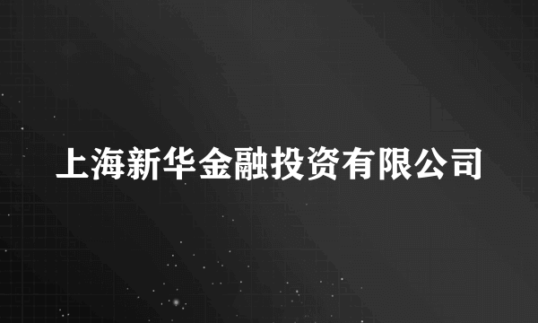 上海新华金融投资有限公司