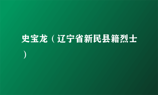 史宝龙（辽宁省新民县籍烈士）