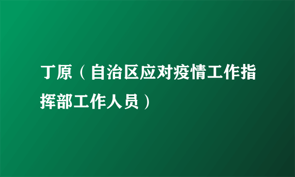 丁原（自治区应对疫情工作指挥部工作人员）