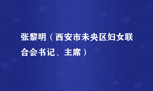 张黎明（西安市未央区妇女联合会书记、主席）