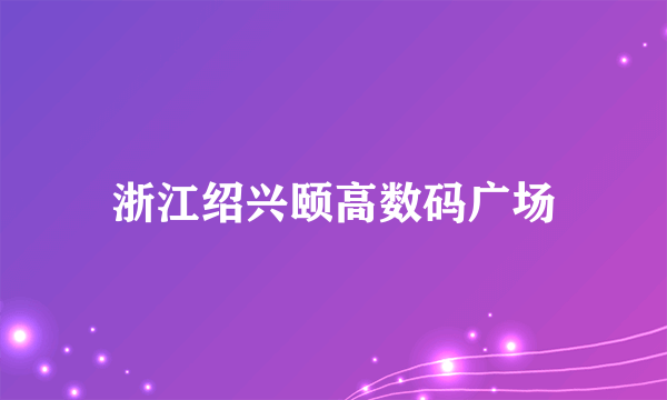 浙江绍兴颐高数码广场