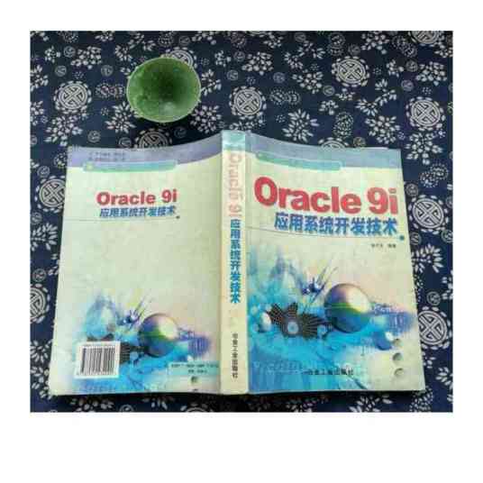 Oracle 9i应用系统开发技术