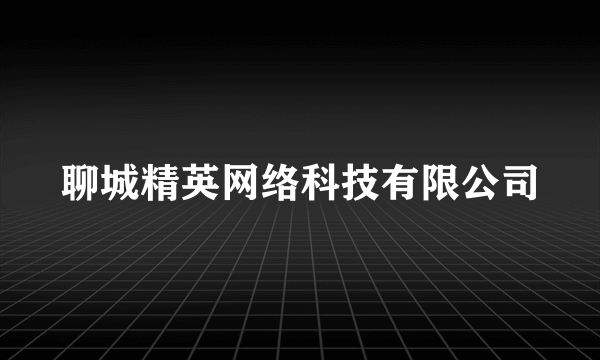 聊城精英网络科技有限公司