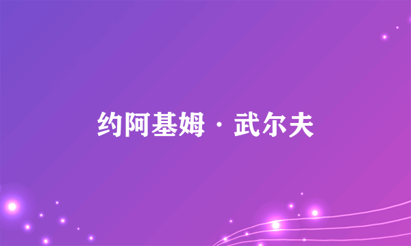 约阿基姆·武尔夫