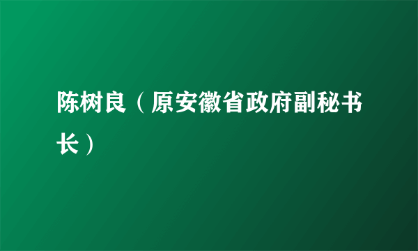 陈树良（原安徽省政府副秘书长）