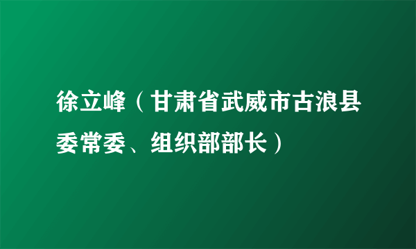 徐立峰（甘肃省武威市古浪县委常委、组织部部长）